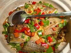 -张家卫·阳江菜·小海鲜(肥婆湾桥店)