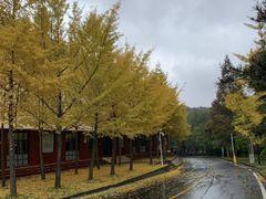 -洛阳白云山景区