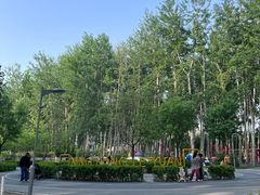 -仁和公园(顺义区)