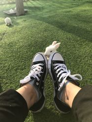 -萌宠亲子动物乐园(槐房万达店)