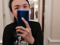 -广州富力丽思卡尔顿酒店