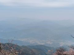 -大围山国家森林公园