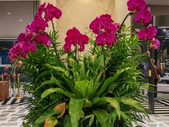 -上海虹桥宾馆味翠餐厅