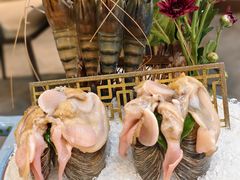 -喜聚薈·花膠雞海鮮火鍋(越秀店)