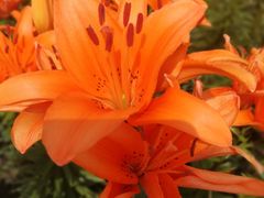 -长春公园(普阳街道)