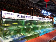 水产区-胖姐渔村(中源大道店)