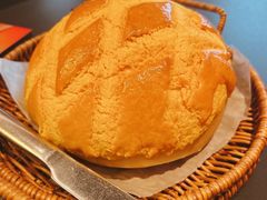 -羽鸽集·乳鸽专门店·地道顺德菜(岭南站店)