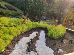 -深圳仙湖植物园