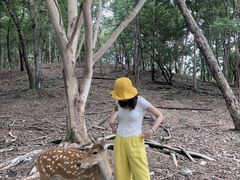 -清迈夜间动物园