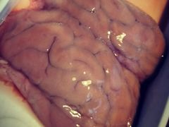 -傣妹火锅(狮子桥店)