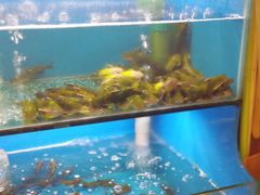 -老村长土菜馆(湖墅南路店)