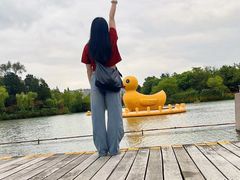 -青枫公园