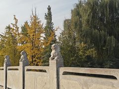 -洛阳市隋唐城遗址植物园