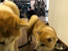 -YCHL Studios健身工作室(市二宫店)