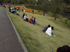 -白鹭湾湿地公园