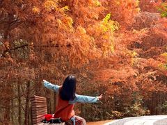 -白鹭湾湿地公园