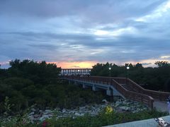 -宝安西湾红树林湿地公园