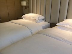 -圣爵菲斯大酒店(长沙世界之窗店)