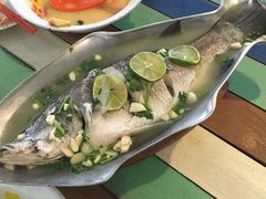 清蒸海鲈鱼-Doo Dee Thai Food(Issan/Isaan/Esan)