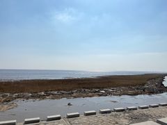 -南汇嘴观海公园
