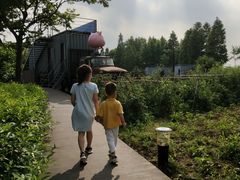 -田园东方蜜桃村的田野营地