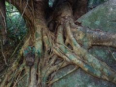 -七仙岭温泉国家森林公园