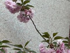 -伊势丹(现代城店)
