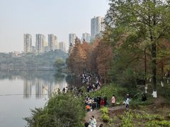 -重庆彩云湖湿地公园