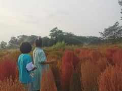 -汉长安城未央宫国家考古遗址公园