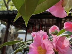 -豫园