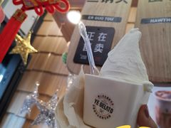 -野人先生现做冰淇淋(北京顺义祥云小镇店)