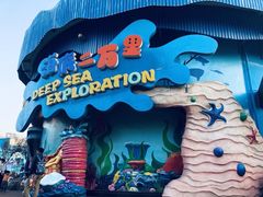 -海合安武汉极地海洋公园