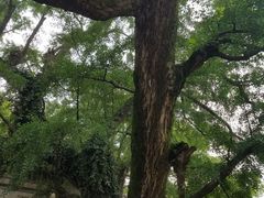 -无锡惠山寺