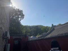 -大觉寺-停车场