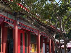 -宫事颐庭·老佛爷贵寿下午茶(颐和园店)