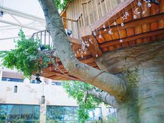 -杭州开元森泊度假乐园