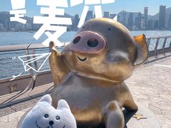 -星光大道
