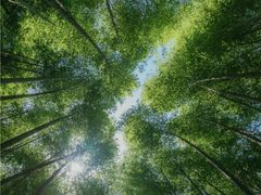 -杭州植物园