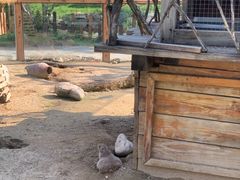 -祥源·阜阳生态乐园