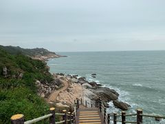 -广东惠东海龟国家级自然保护区