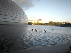 -国家大剧院·西餐厅