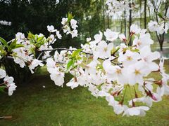 -江南大学(蠡湖校区)
