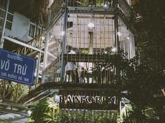 -Rainforest
