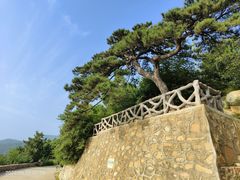 -北京西山国家森林公园