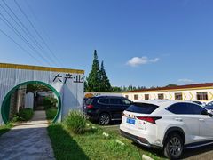 -前小桔亲子创意农场·草莓采摘·露营烧烤