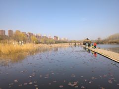 -前关湿地公园
