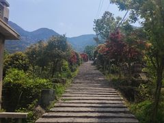 -大罗山风景区