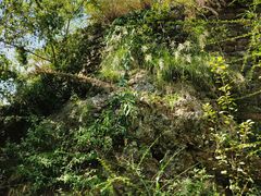 -白帝城·瞿塘峡景区