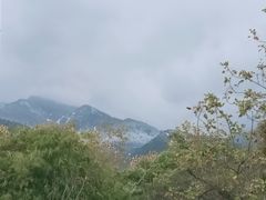 -苍山感通索道