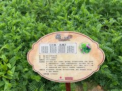 -广西壮族自治区药用植物园